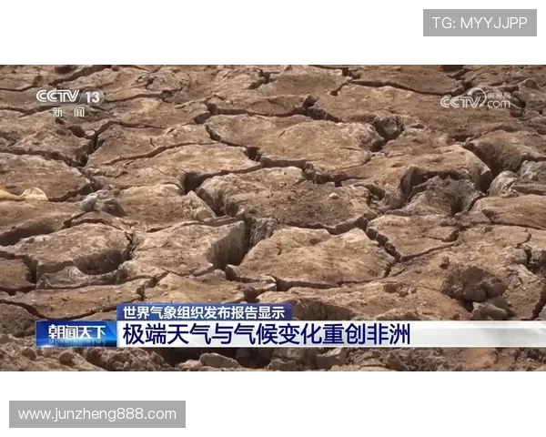 全球气候变化加速 科学家警告未来十年极端天气频发风险提升 全球气候变化加速 科学家警告未来十年极端天气频发风险提升